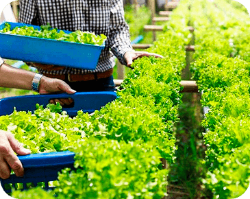 Efficient Resource Usage