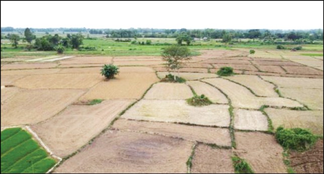 Raipur Project 2